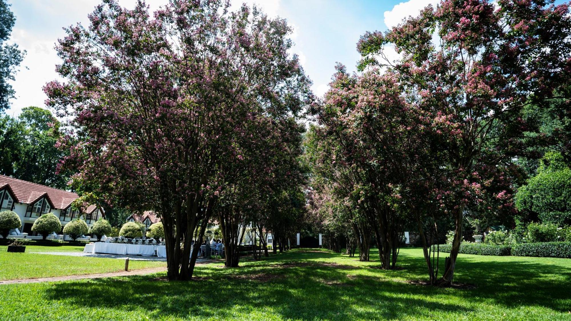 River Meadow Manor Centurion Eksteriør bilde